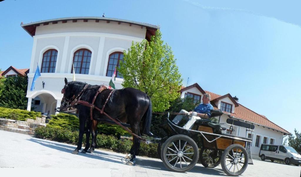 Bodrogi Kuria Wellness Hotel Inarcs Exterior photo